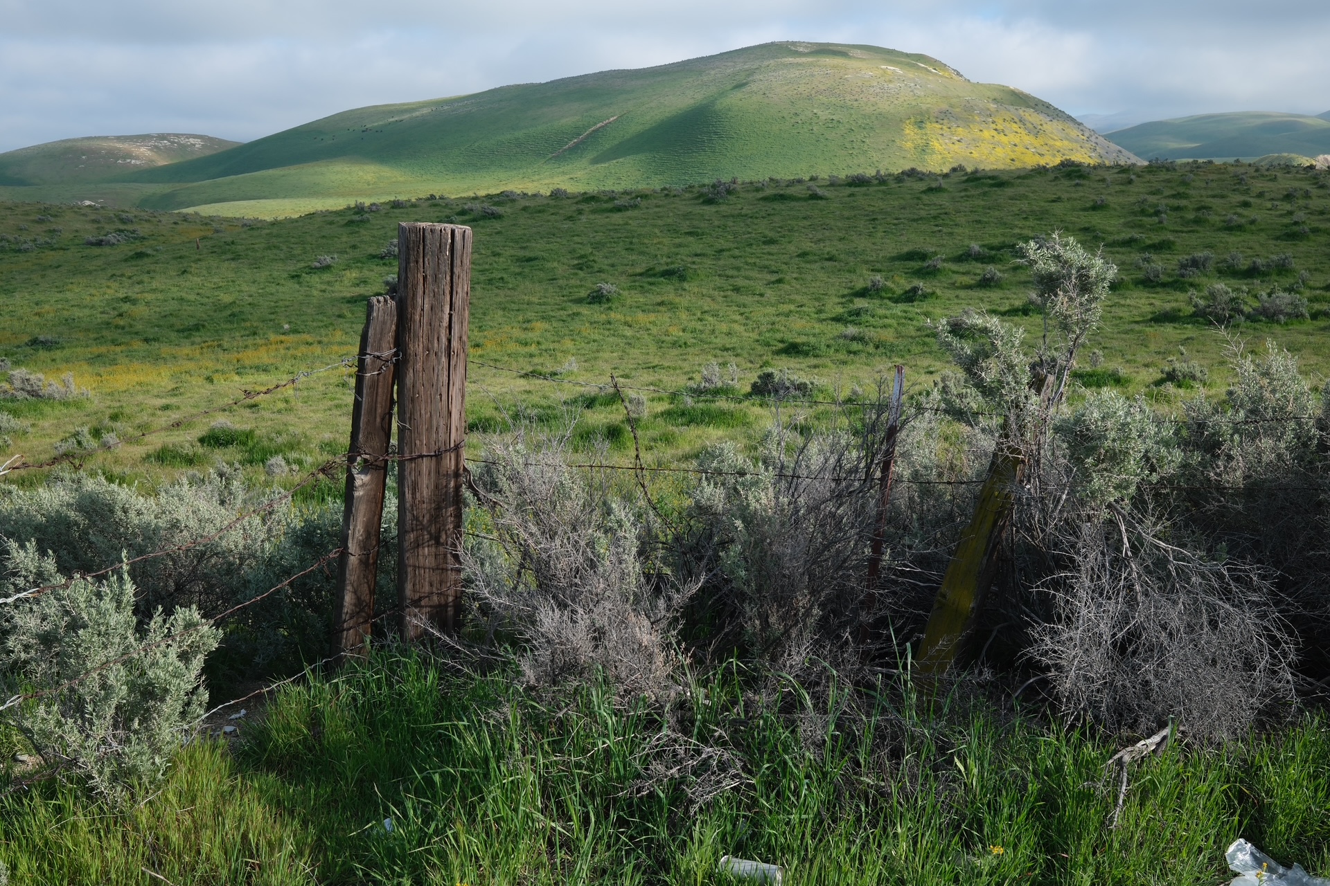 Thomas Labash - Springs and Seasons